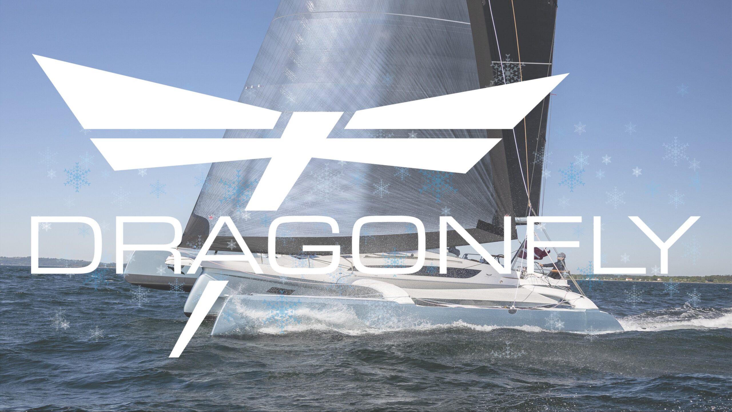 Dragonfly Christmas 2025